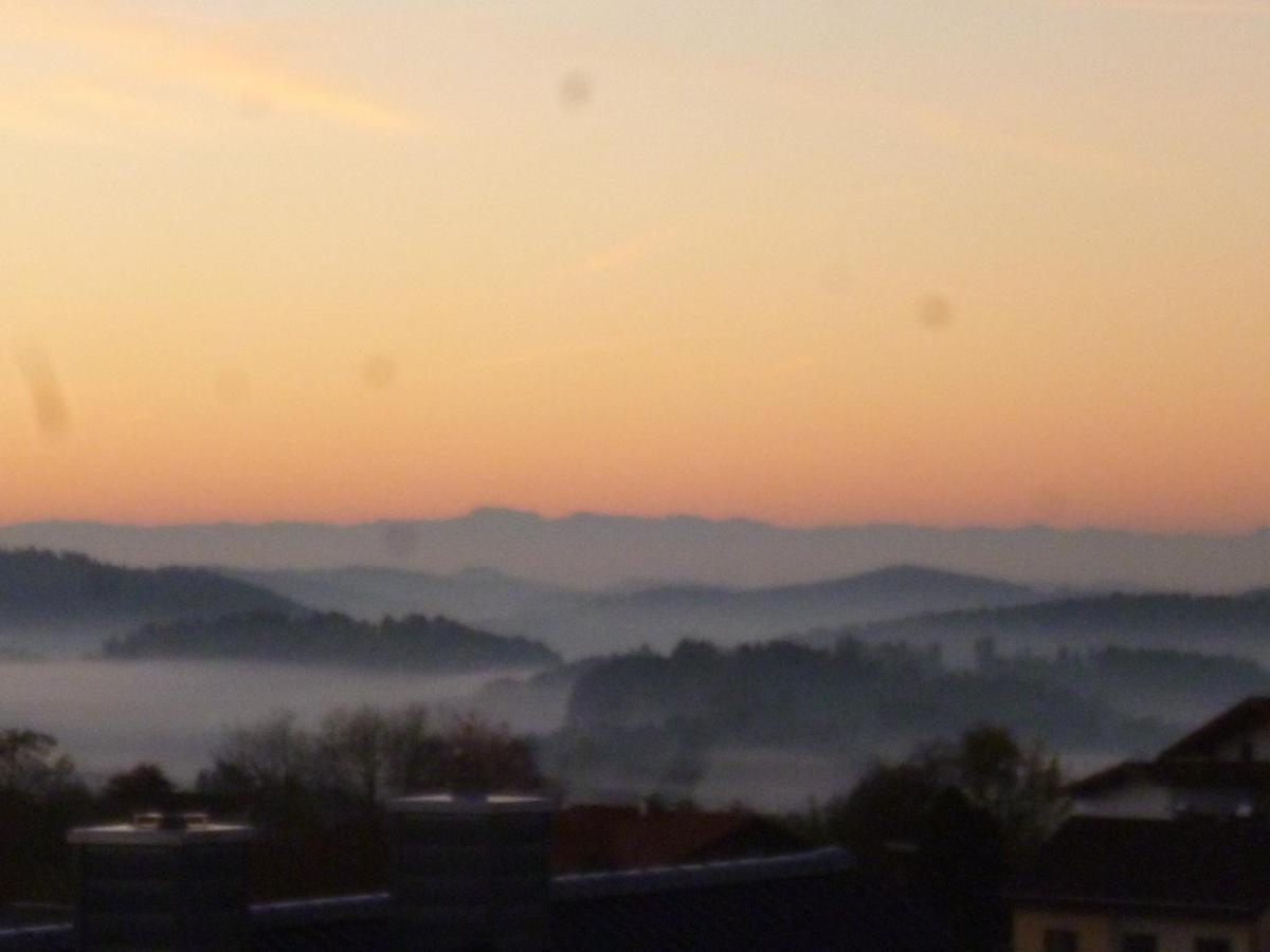 Ferienwohnungen Alpenblick Mit Garten -Panoramasauna- Kirchdorf im Wald エクステリア 写真