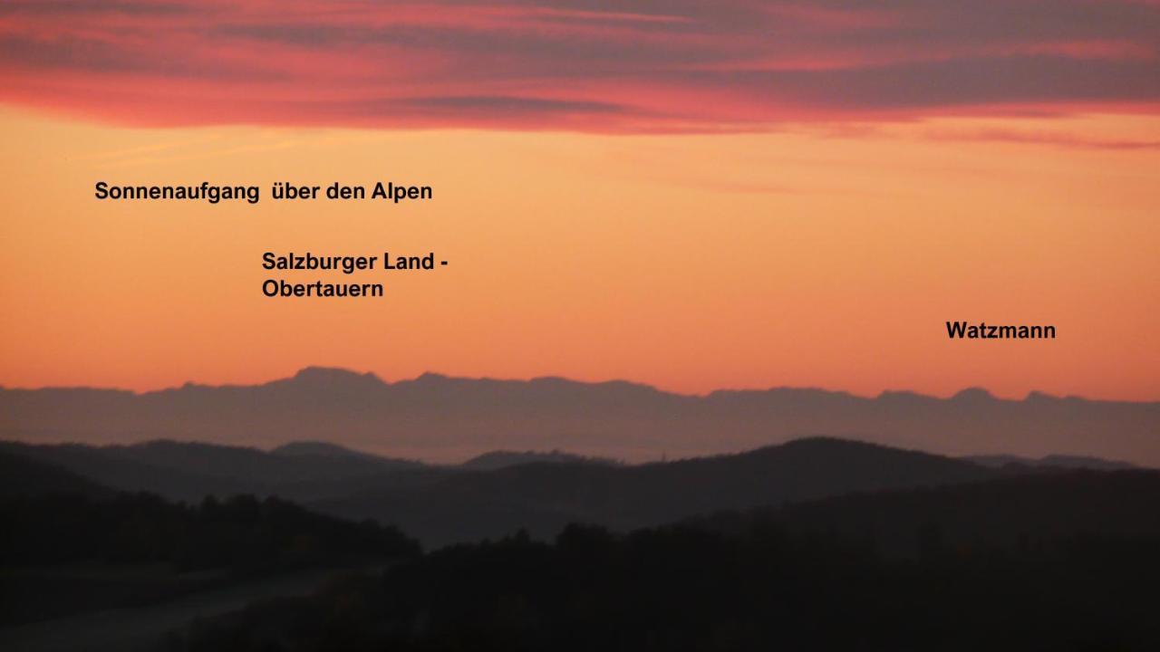 Ferienwohnungen Alpenblick Mit Garten -Panoramasauna- Kirchdorf im Wald エクステリア 写真